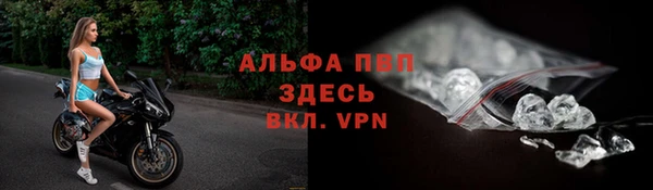 трава Надым
