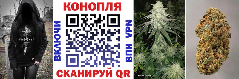 цены наркотик Южа Канабис VHQ